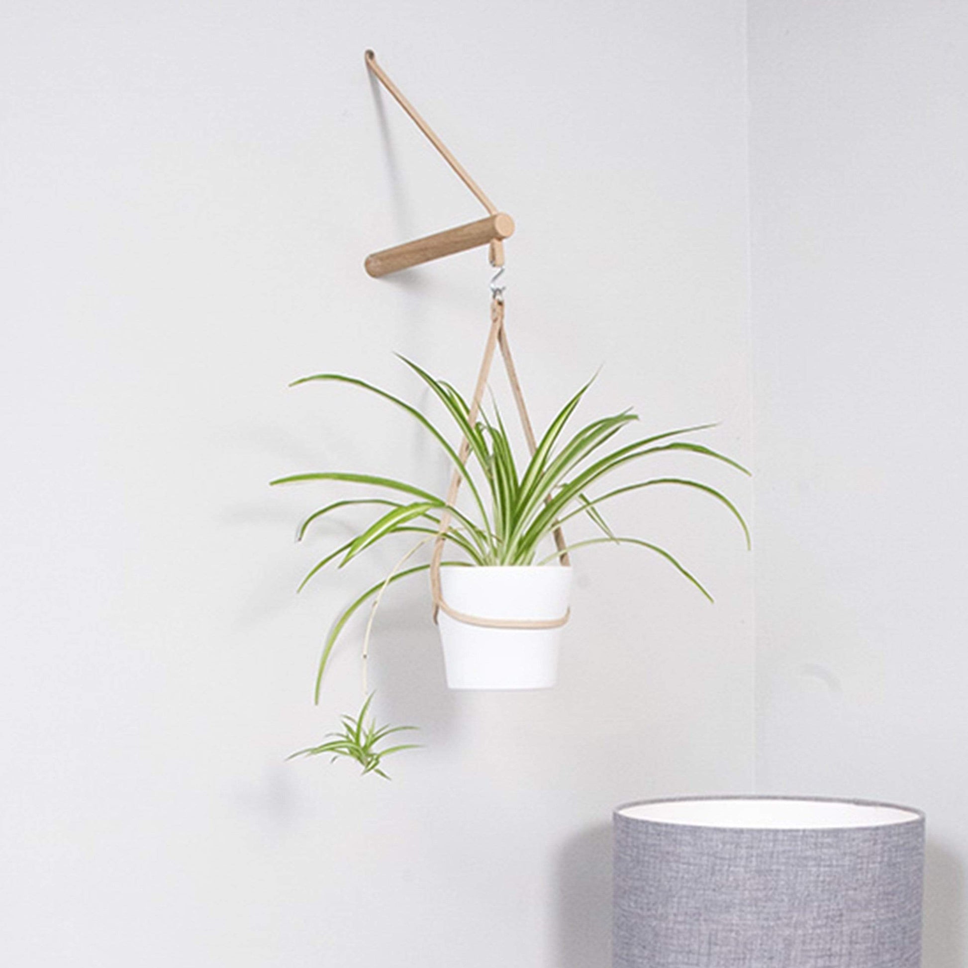 indoor plant hangers uk Wood and Leather Peg Hanger (various colours) – PRIOR SHOP