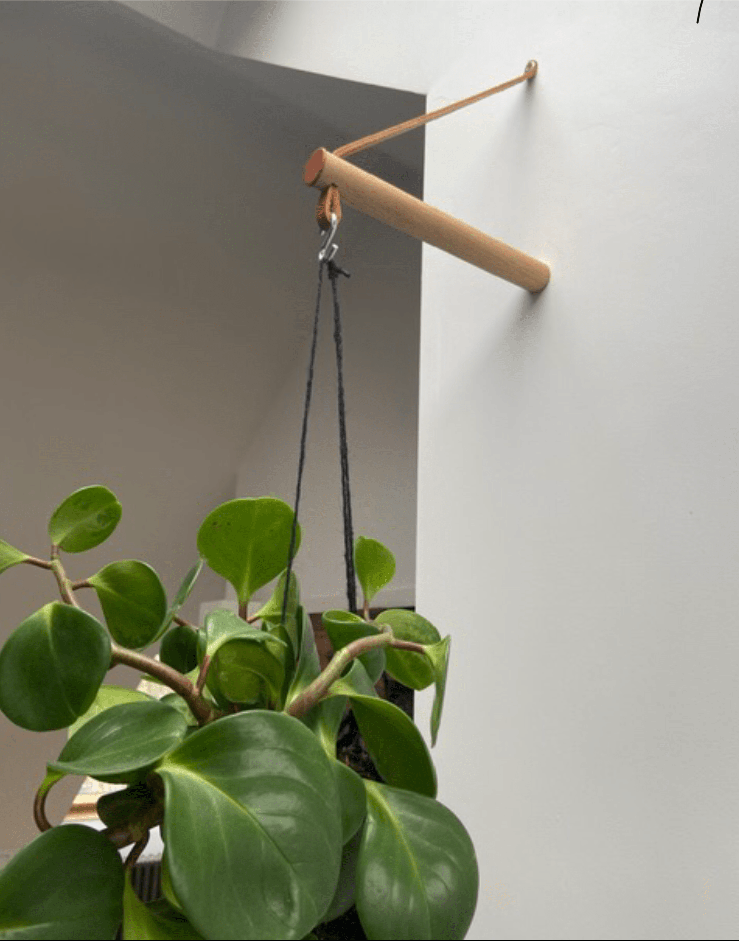 indoor plant hangers uk Wood and Leather Peg Hanger (various colours)