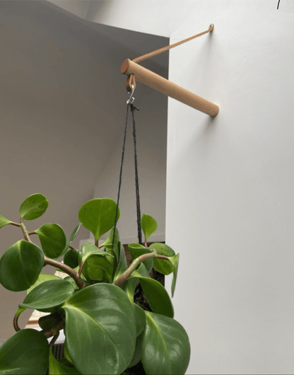 Wall planter discount hook