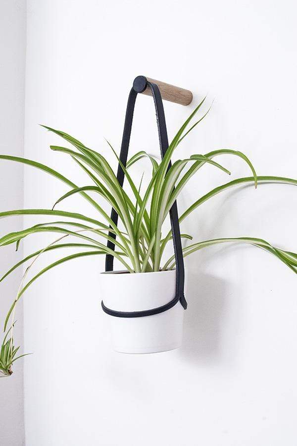 hanging plant holders uk Peg Wall Hanger with Hanging Pot (various sizes and colours)